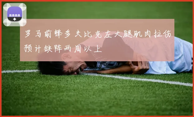 罗马前锋多夫比克左大腿肌肉拉伤预计缺阵两周以上