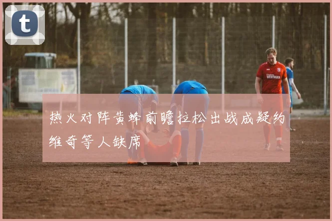 热火对阵黄蜂前瞻拉松出战成疑约维奇等人缺席