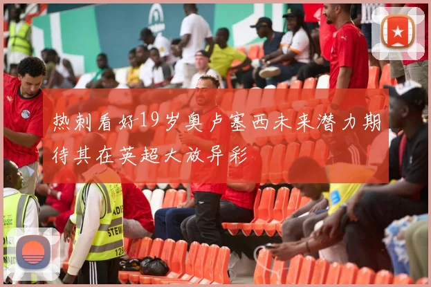 热刺看好19岁奥卢塞西未来潜力期待其在英超大放异彩