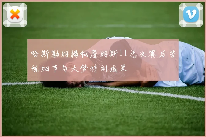 哈斯勒姆揭秘詹姆斯11总决赛后苦练细节与大梦特训成果