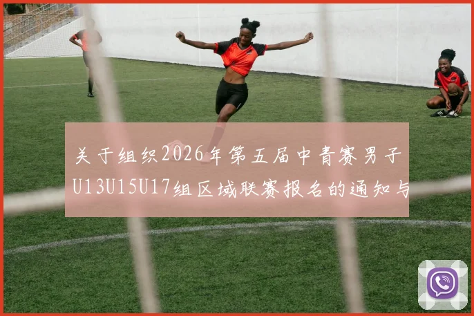关于组织2026年第五届中青赛男子U13U15U17组区域联赛报名的通知与要求